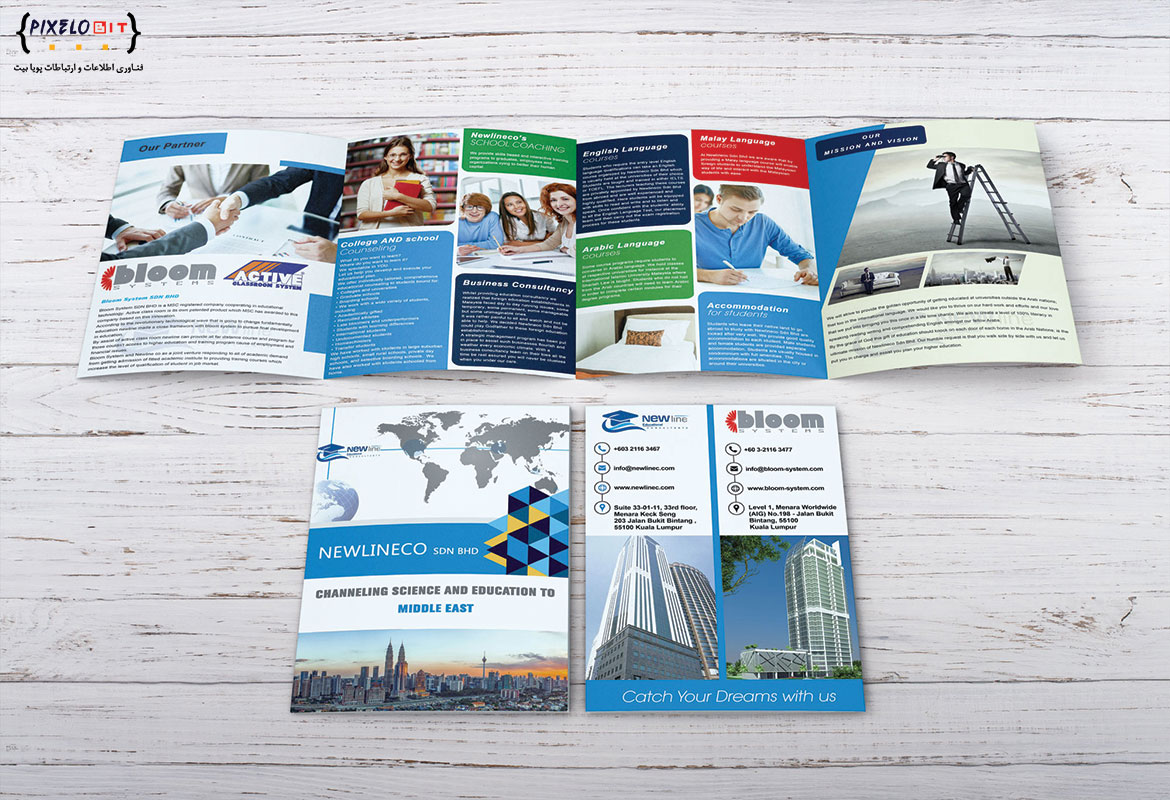 Newline Company Profile