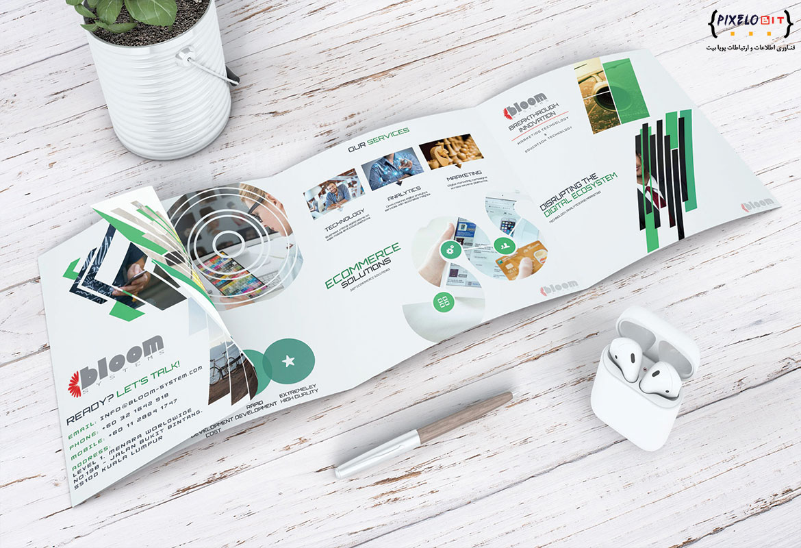 Bloom System Profile Company